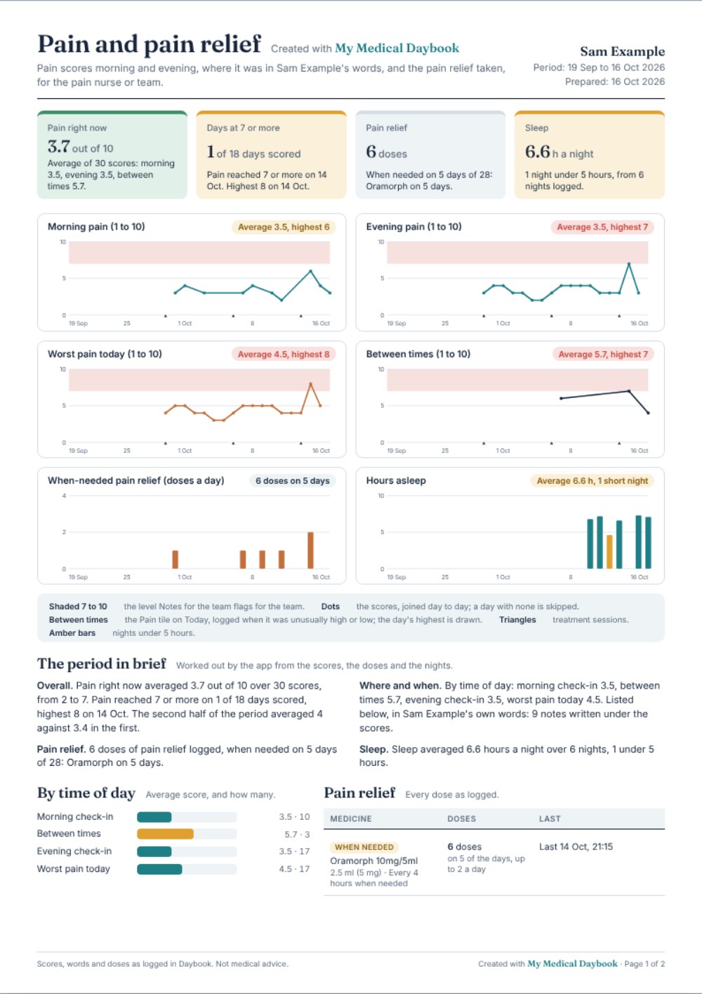 The Pain and pain relief report, page 1: four tiles, six small charts of the scores, the doses and the sleep, and the period in brief.